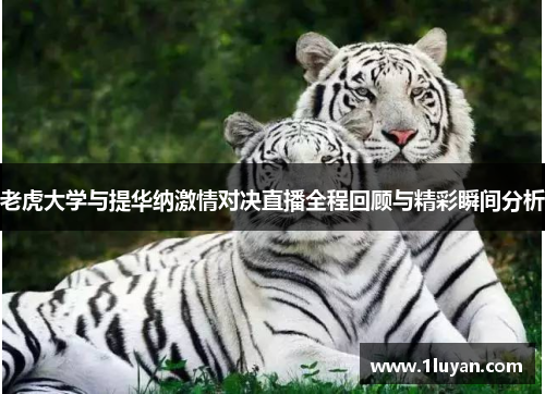 老虎大学与提华纳激情对决直播全程回顾与精彩瞬间分析